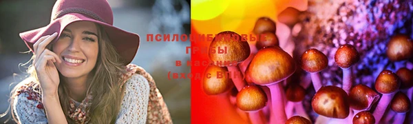 ECSTASY Алексин