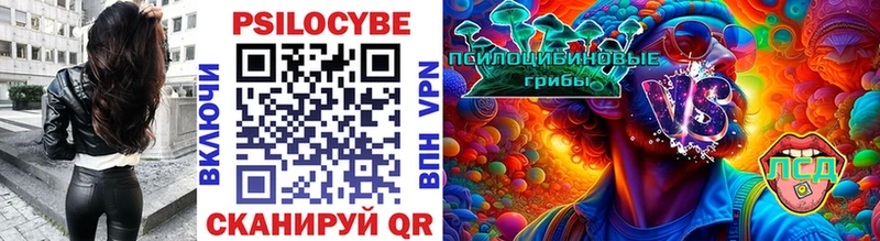 KRAKEN сайт  купить   Менделеевск  Галлюциногенные грибы GOLDEN TEACHER 